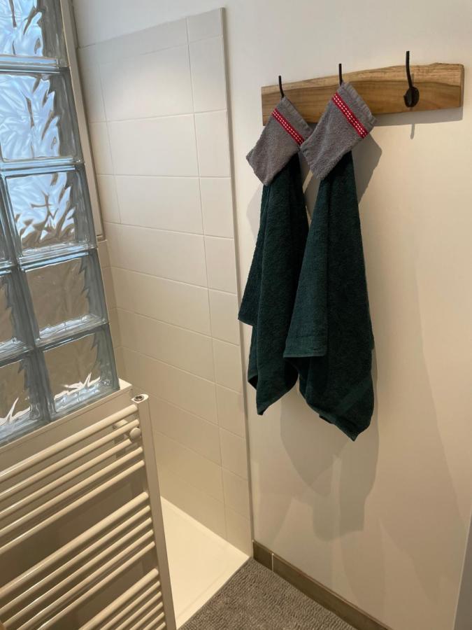 Appartement Du Lion Belfort Dış mekan fotoğraf