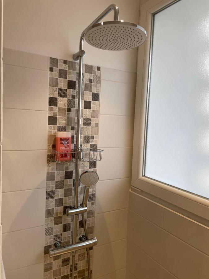 Appartement Du Lion Belfort Dış mekan fotoğraf