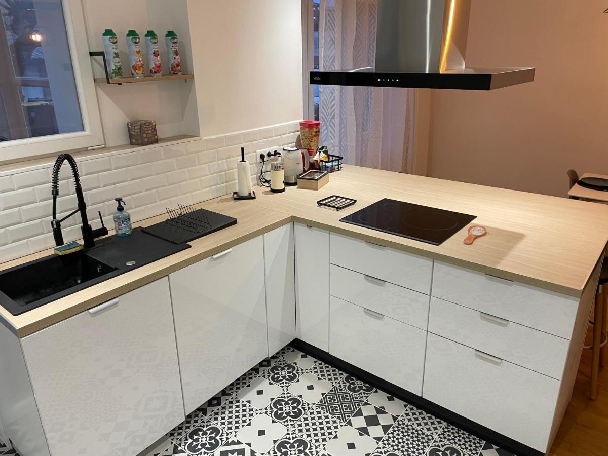 Appartement Du Lion Belfort Dış mekan fotoğraf