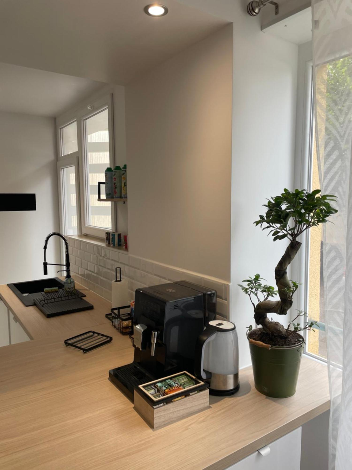 Appartement Du Lion Belfort Dış mekan fotoğraf